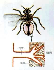 ��������ܼ���ʾ��ͼ