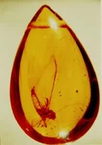 �й�ϲ��С������