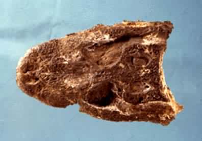 ³������