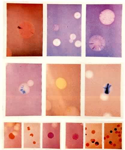 �󳦸˾���ͬ����ͻ���;���