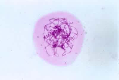 �������Ѣ񣺴�����