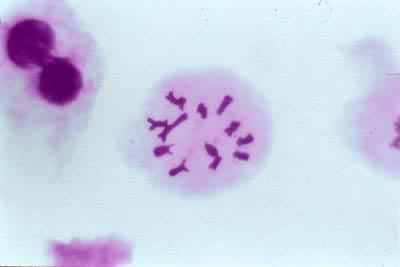 �������Ѣ��ձ���