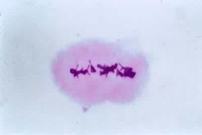 �������Ѣ����ڢ�