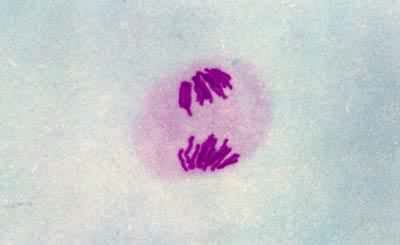 �������Ѣ񣺺��ڢ�