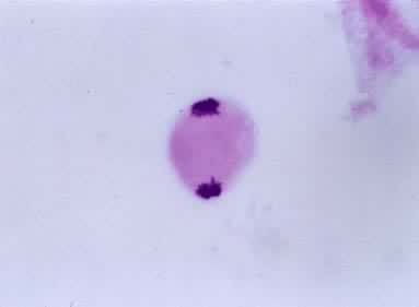 �������Ѣ�ĩ�ڢ�