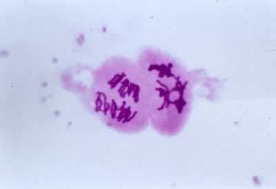 �������Ѣ򣺺��ڢ�