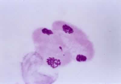 �������Ѣ�ĩ�ڢ�