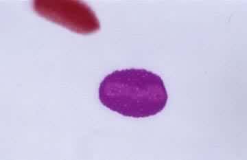 �������Ѣ򣺻�����