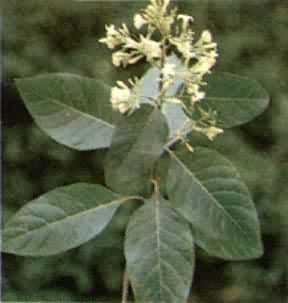 ����������ݿ�