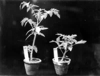 �������Ĵ��ο龥�ಡ��֢