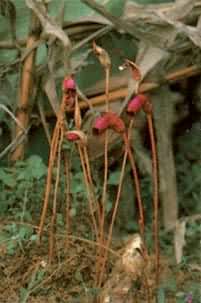 Ұ�ԣ��е���