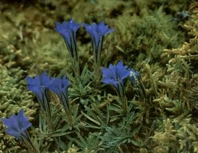 ����������������