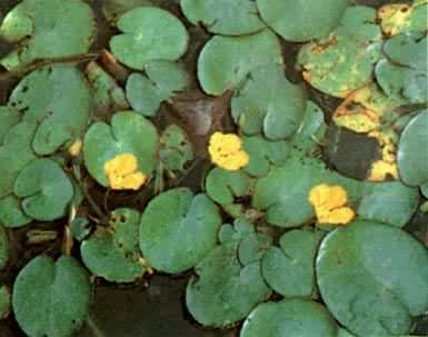 ���ˣ�������