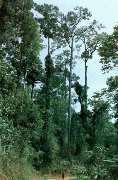 ���������������