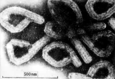 �����̺�ϸ������������������