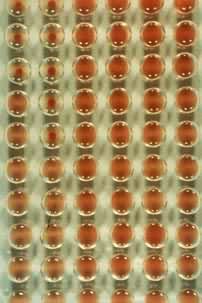 ���͸������ڿ���Ĳⶨ(������ѧ����