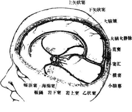 ͼ2��ӲĤ����Ӳ��Ĥ�