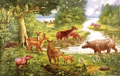 ��������ɽ�������̬��ԭͼ