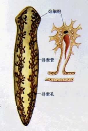 �г����йϵͳ