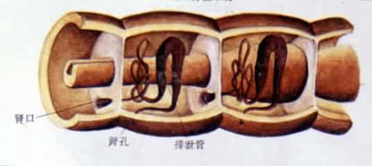 ������йϵͳ