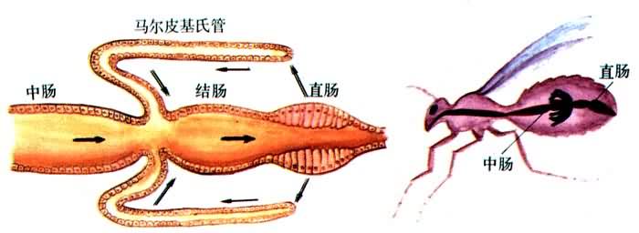 �������йϵͳ