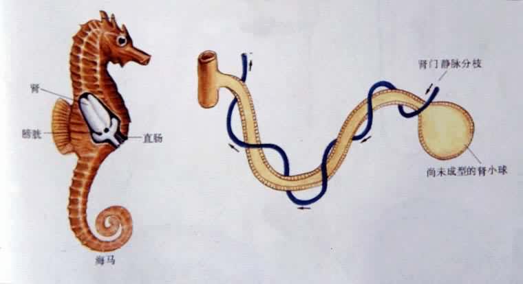 �������йϵͳ