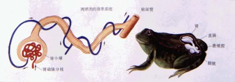 ���������йϵͳ