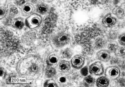 �����������Ⱦϸ���ĳ�����Ƭ