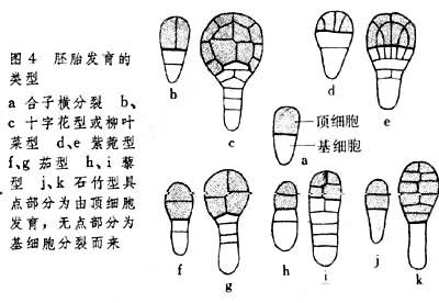 ͼ4a