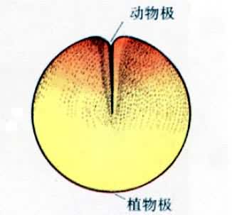 �ܵķ�������2ϸ����