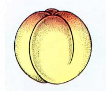 �ܵķ�������4ϸ����