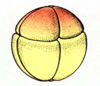 �ܵķ�������8ϸ����