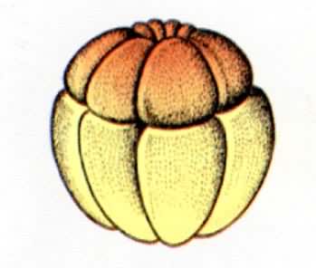 �ܵķ�������16ϸ����