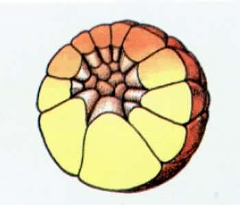 �ܵķ�������32ϸ����