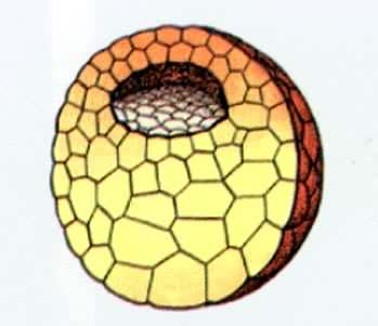 �ܵķ�������ɣ�����