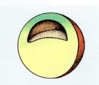 �ܵķ�������������