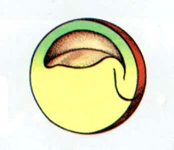 �ܵķ�������������