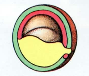 �ܵķ�������������(����)