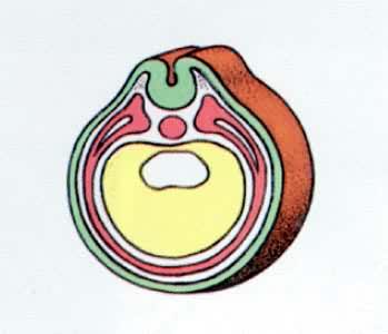 �ܵķ�����������(����)