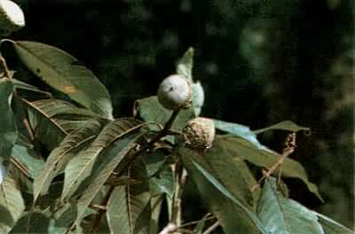 �̶��£��Ƕ���