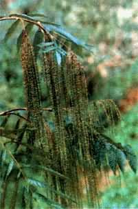 ��β������β����