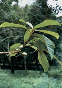 ���Ϸ紵骣��ⶹޢ��