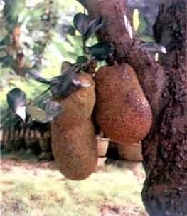 �����ۣ�ɣ��