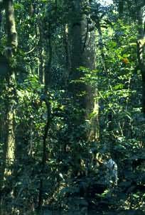 �����ϲ����ȴ�����