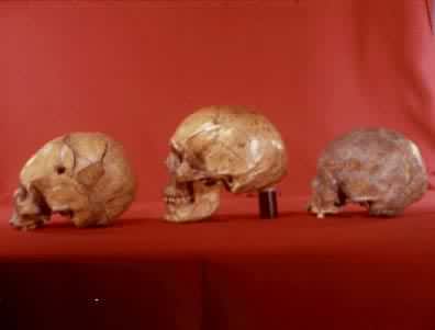 ɽ������ͷ��(���ӻ�ʯ)