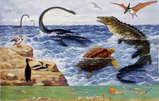 ���������󾰹�