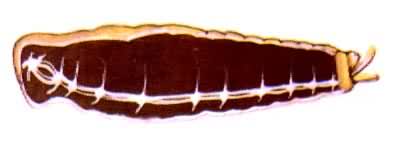 ��ϵͳ�Ľ��������������ϵͳ