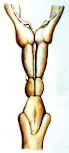 ��ϵͳ�Ľ������������������