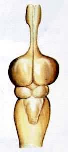 ��ϵͳ�Ľ����������������