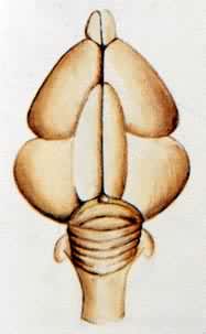 ��ϵͳ�Ľ��������������